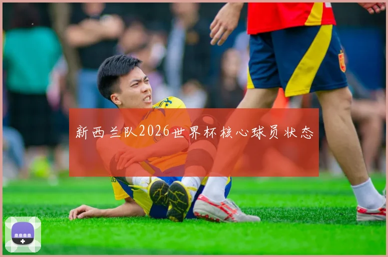 新西兰队2026世界杯核心球员状态
