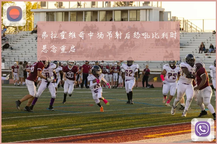 弗拉霍维奇中场吊射后怒吼比利时悬念重启