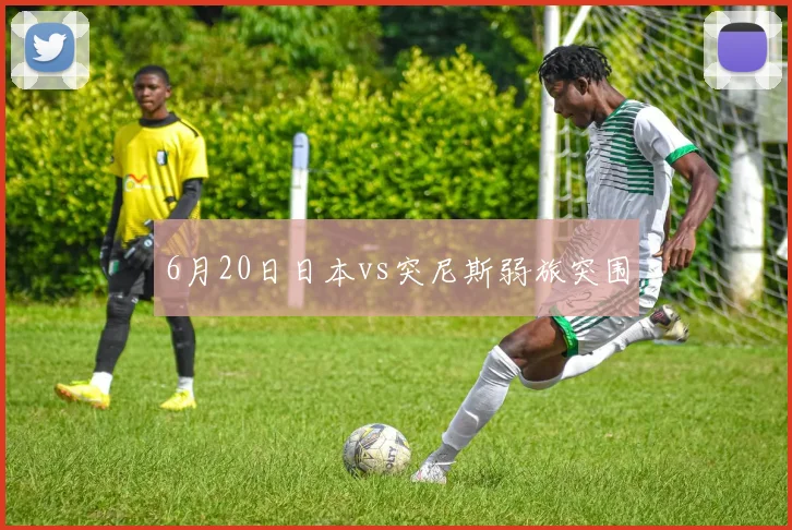 6月20日日本vs突尼斯弱旅突围