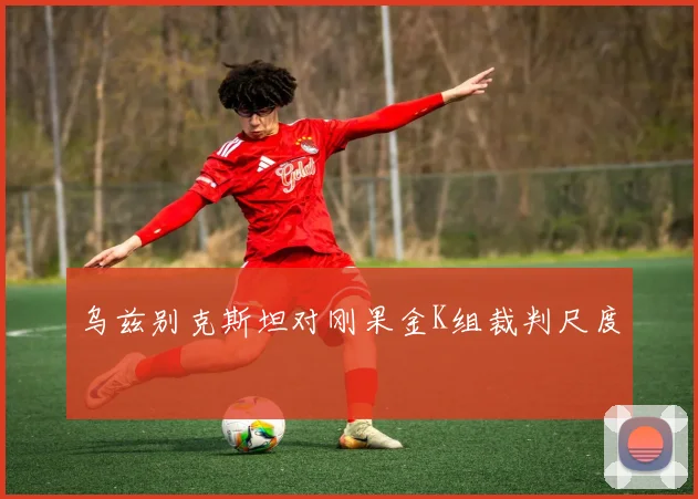 乌兹别克斯坦对刚果金K组裁判尺度