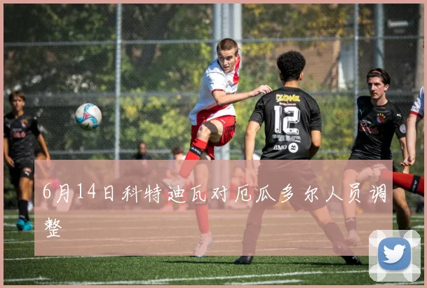 6月14日科特迪瓦对厄瓜多尔人员调整